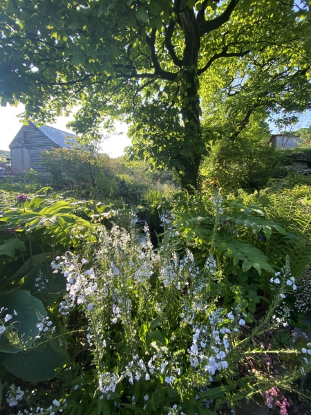 Higher Bridge Clough House